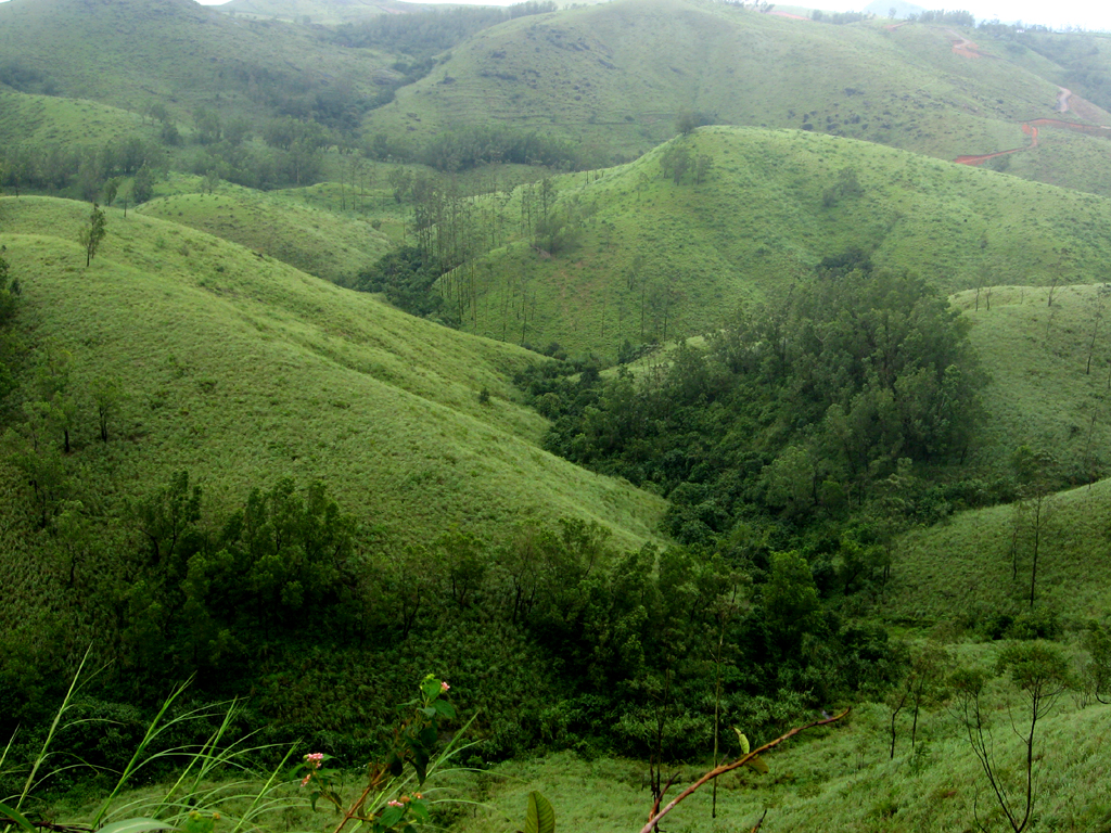 Vagamon Hills