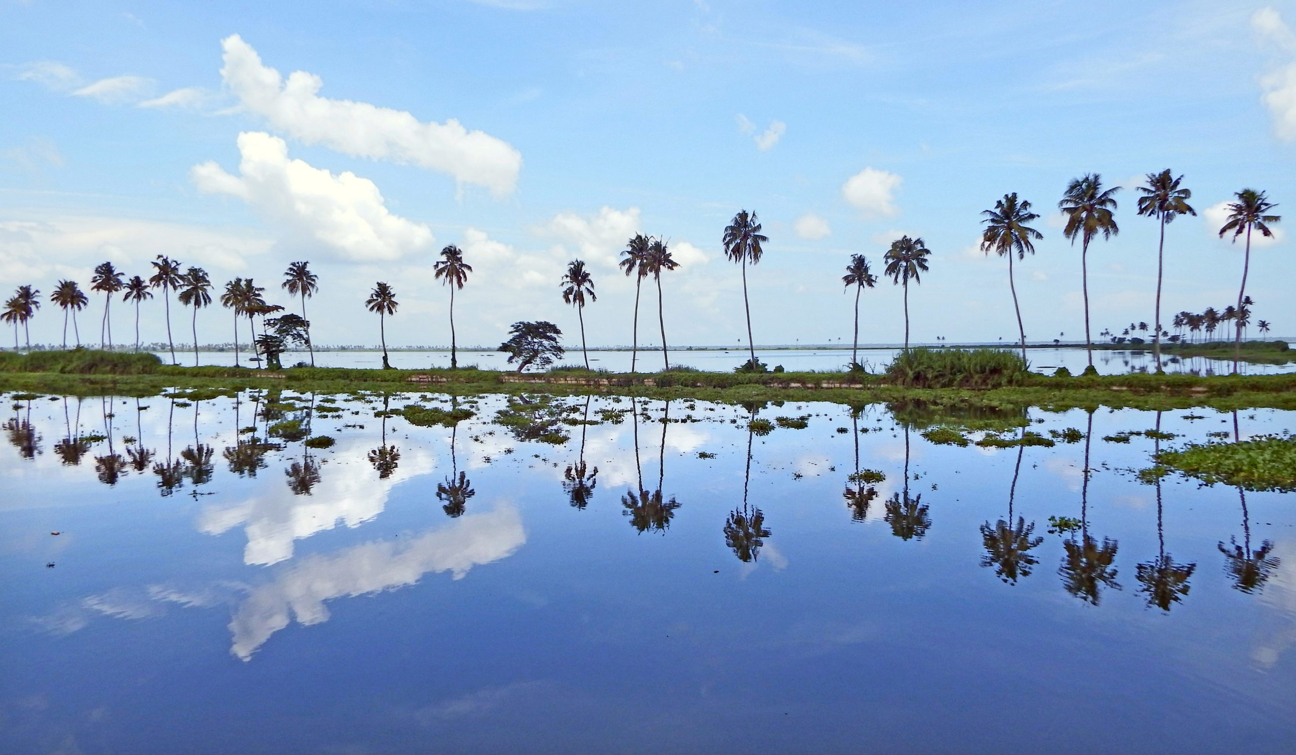 Vembanad Lake